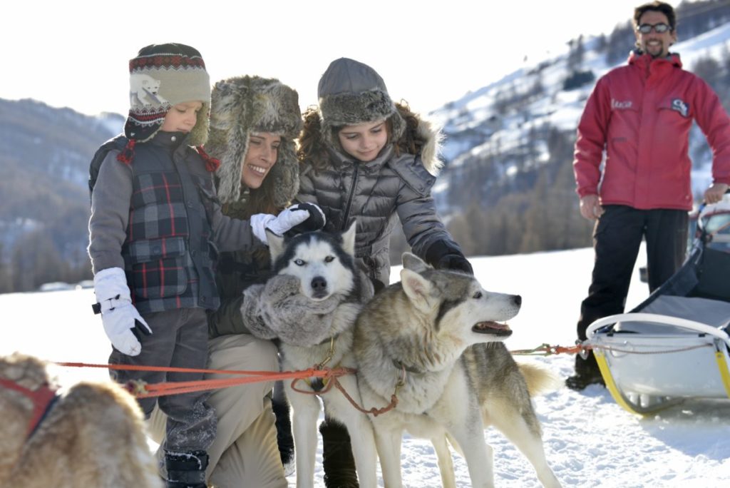 Family petting husky sled dogs
